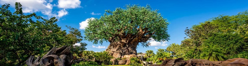 EUA: o que fazer no parque Animal Kingdom, Disney