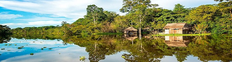 Peru: Amazonas Peruana – explore esta incrÃ­vel floresta