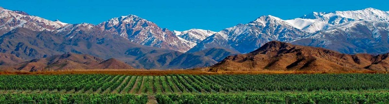 Argentina: Mendoza, capital internacional do vinho