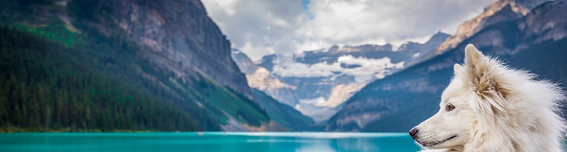 CanadÃ¡: Banff e Lake Louise