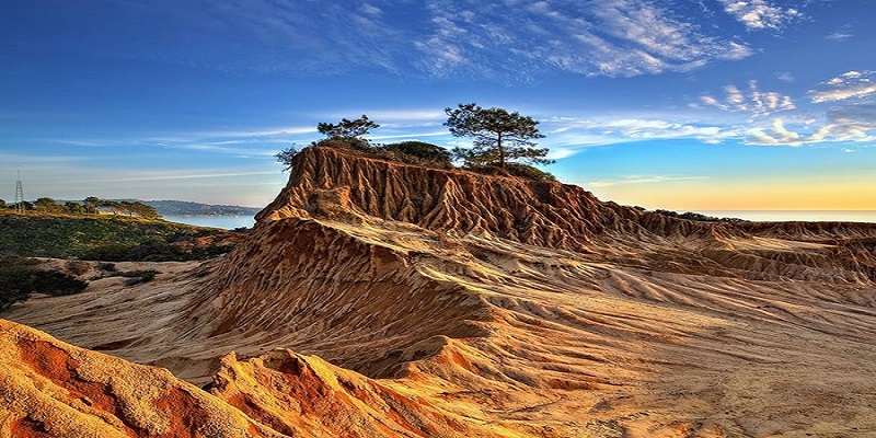 Reserva Estadual Torrey Pines