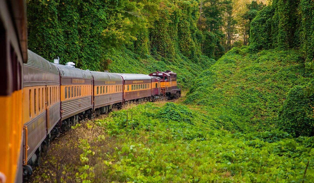 Railroad Scenic Train