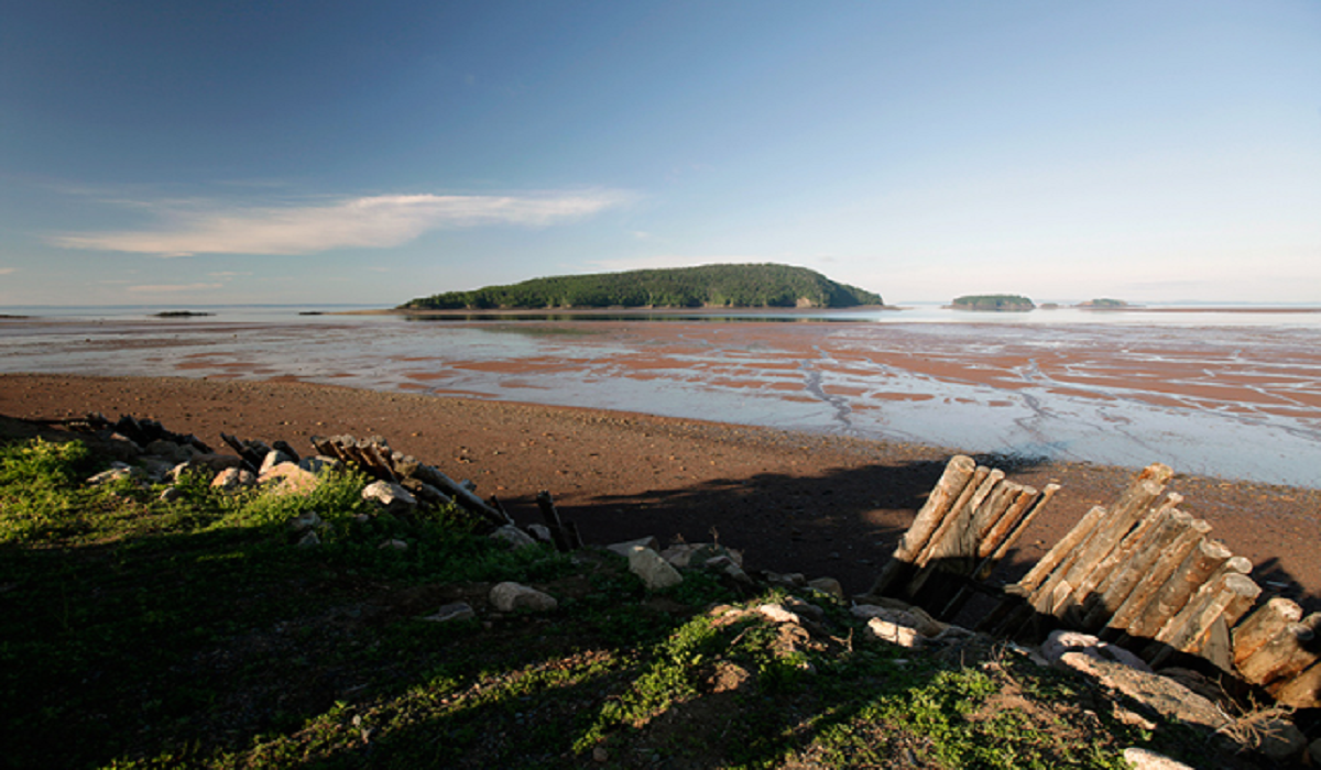 Acampamento, Five Islands Provincial Park